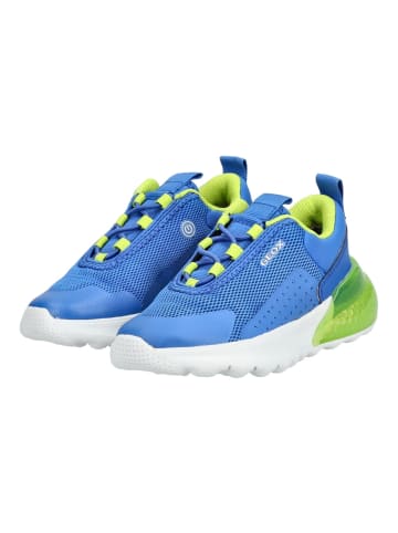 Geox Sneaker in Blau/Grün