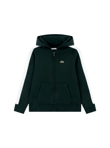 Lacoste Sweatjacke in dunkelgrün