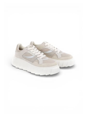Apple of Eden Sneaker BERNA in IVORY