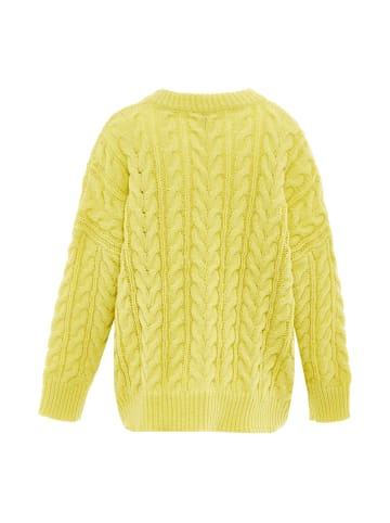 Sookie Pullover in LIMETTE