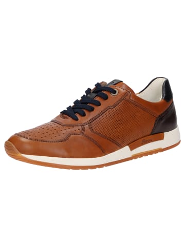 Sioux Sneaker Rojaro-718 in braun