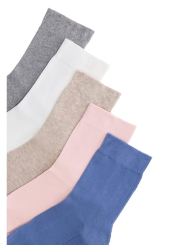 Wilox Socken daily 5 5er Pack daily life in mehrfarbig