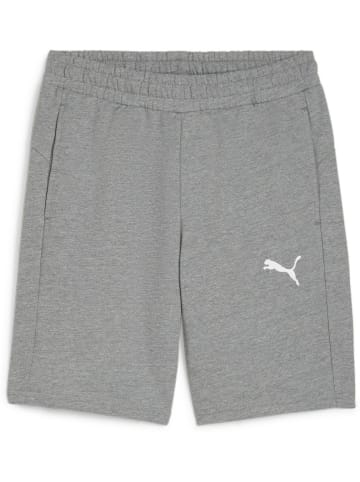 Puma Sporthose "TeamGoal CasuaLongsleeve Shorts" in Grau