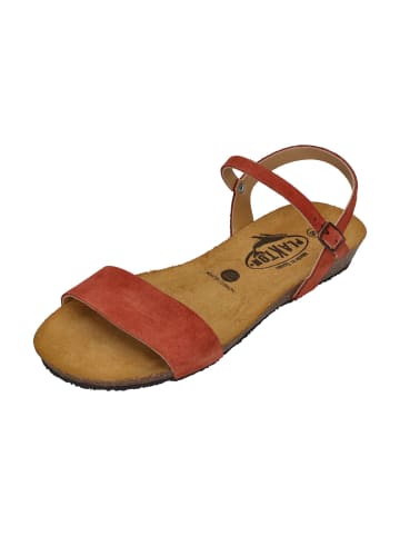 Plakton Sandalen FRAN AMBO 405725 in rot
