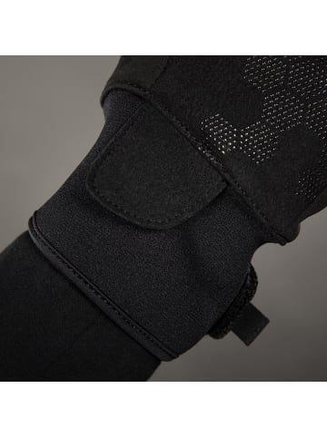 Chiba Handschuhe Classic - Farbe