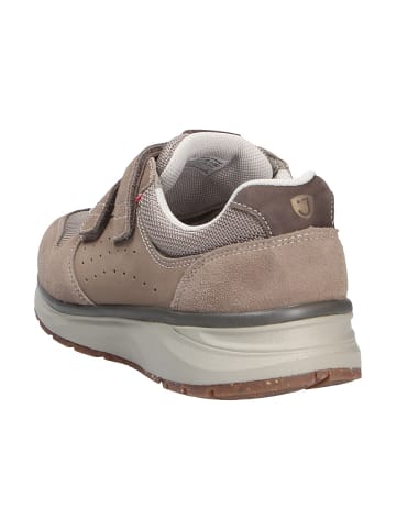 Joya Halbschuh DYNAMO STRAP M BEIGE in beige