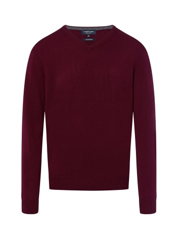 Andrew James Strickpullover in bordeaux - 0016