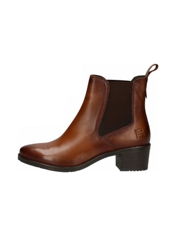 TT. BAGATT Stiefeletten in cognac