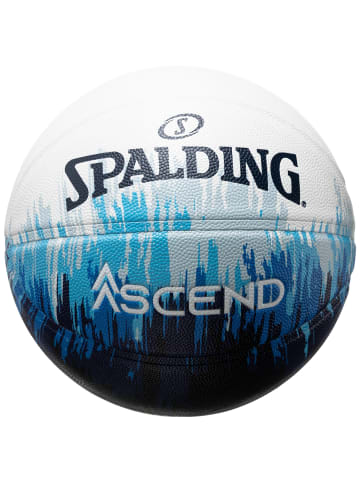Spalding Basketball Ascend Blues in weiß / blau