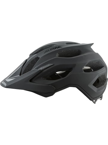 Alpina Radhelm Carapax 2.0 in Silber