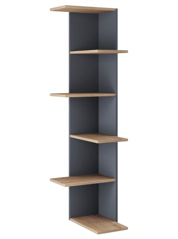 VCM  Holz Wandregal Hängeregal Eckregal Regal Balos XL in Anthrazit / Honig-Eiche