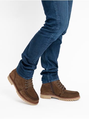ara Stiefelette in braun