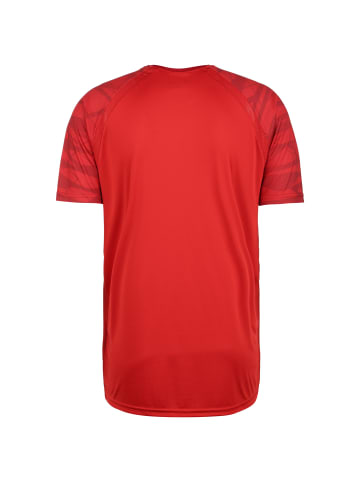 uhlsport  Trainingsshirt 1. FC Köln Goal 24 in rot