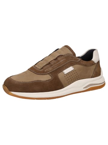 Sioux Sneaker Turibio-709-J in braun