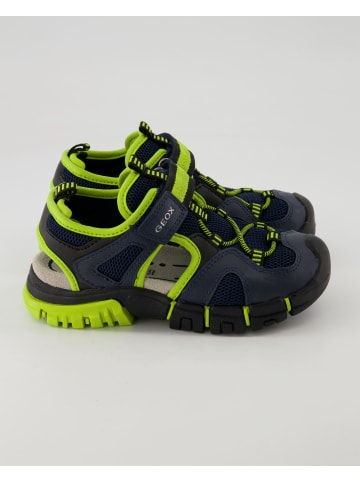 Geox Klettschuhe in Blau