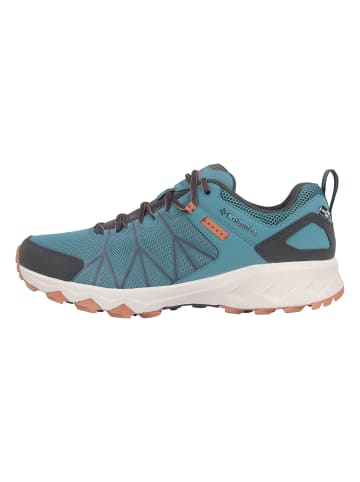 Columbia Trekkingschuhe in Blau