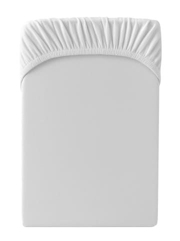 Cats Collection Spannbetttuch Edel-Jersey in silber