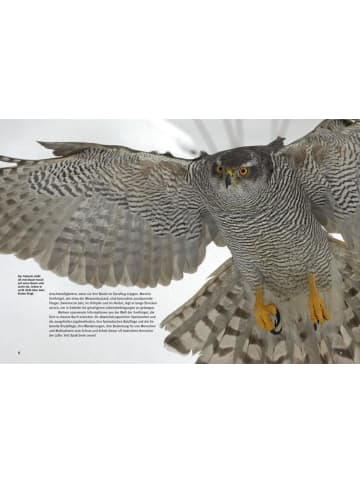 Natur und Tier-Verlag Entdecke die Greifvögel | Mit großem Greifvogelquiz