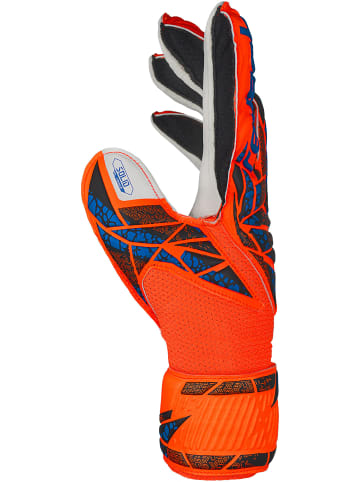 Reusch Torwarthandschuhe Finger Support Junior in 2210 hyper orng/elec blue
