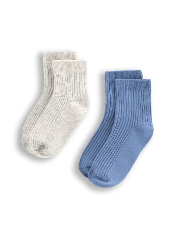 Coccodrillo Socken in bunt