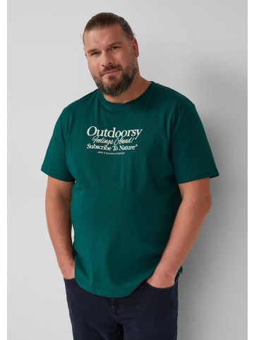 s.Oliver T-Shirt in 79D2_tannengrün