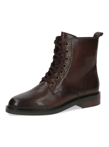 Caprice Stiefelette in Dunkelbraun