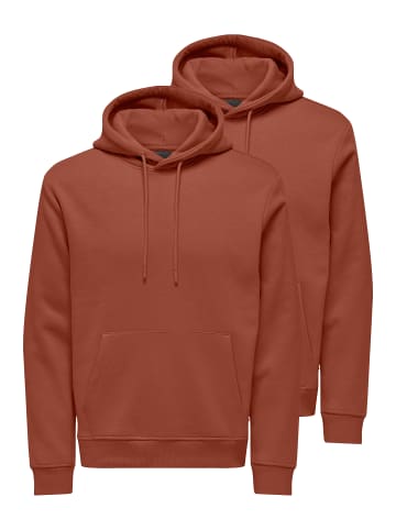 ONLY & SONS Sweatshirt / Hoodie Connor in Sequoia