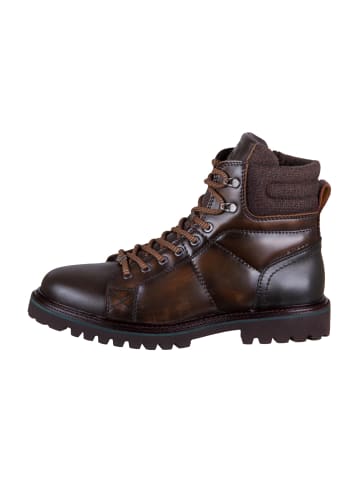 Ambitious Schnürstiefeletten in Braun