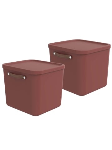 Rotho 2er-Set Aufbewahrungskiste 40l in Iron rot