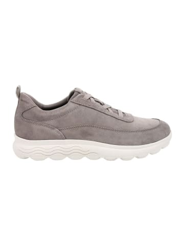Geox Sneakers Low U Spherica Plus MAN in grau