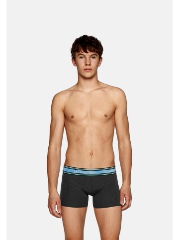 JACK & JONES Junior Boxershorts 'Faze Solid' 5er Pack in blau