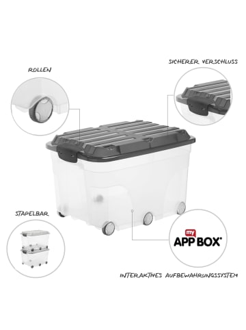 Rotho Roller 6 2er-Set Rollkisten 57l mit Deckel und Rollen in Cool grau