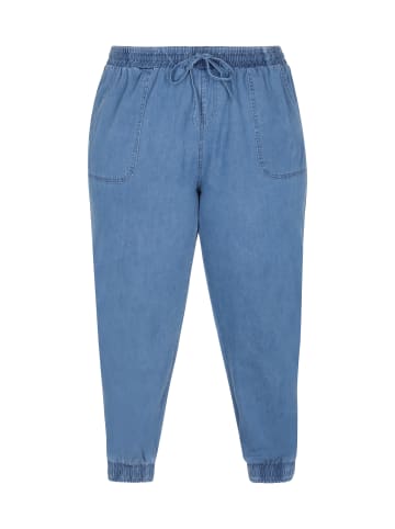 usha FESTIVAL Women Plus Size Pants in blue