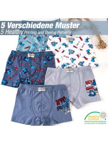 LOREZA 10er Set Boxershorts - Dino- Bunt