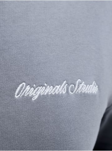 JACK & JONES PLUS Kapuzenjacke in Tradewinds