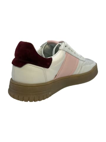 Kennel & Schmenger Sportliche Schnürschuhe in Bunt