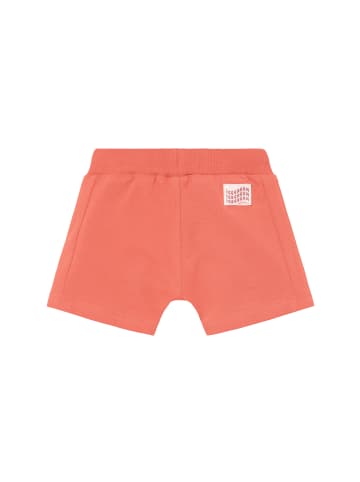 Noppies Shorts Regular Fit in Burnt Sienna