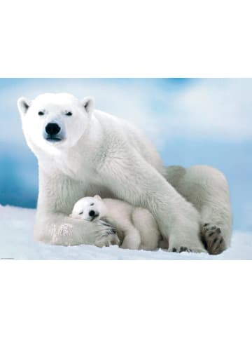 Eurographics Eisbär & Baby (Puzzle)