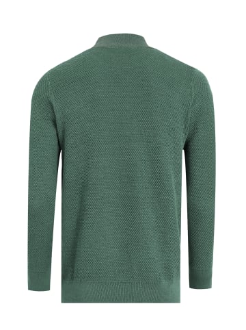 Felix Hardy Pullover in Grün
