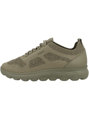 Geox Sneaker low D Spherica A in gruen