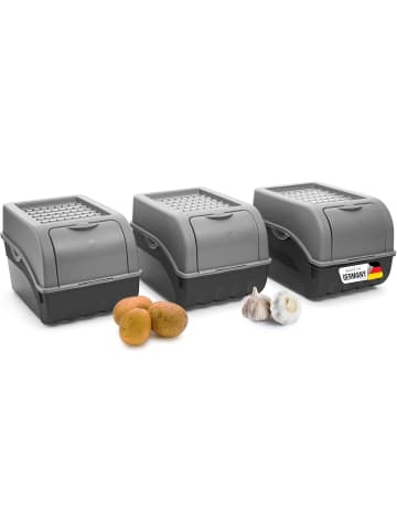 Novaliv Kartoffel Aufbewahrungsbox | 3X mittel 5L | GRAU | Zwiebelbox | Gemüse in Grau