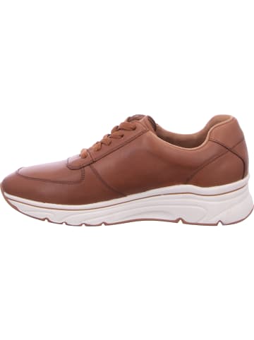 Tamaris Schnürhalbschuh in braun