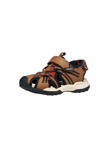 Geox Borealis Ledersandalen für Kinder Braun