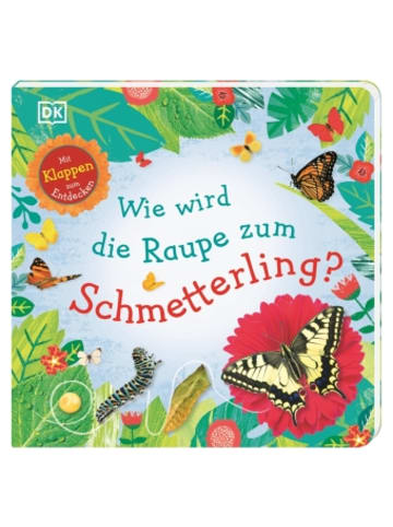 Dorling Kindersley  Buch - Wie wird die Raupe zum Schmetterling?