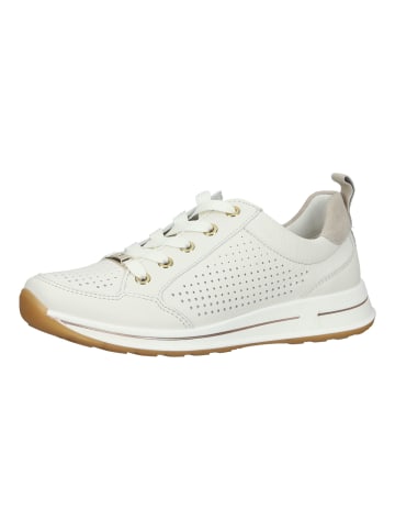 ara Sneaker in Cream