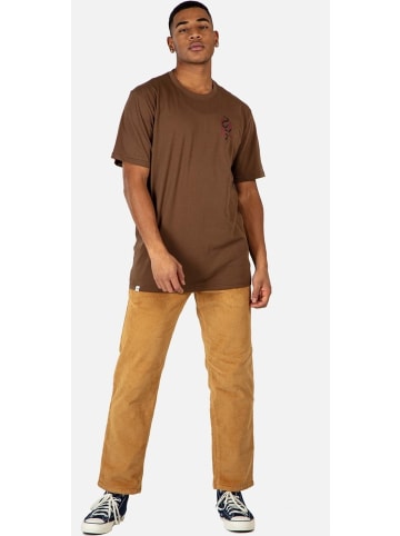 Reell Stoffhose "Regular Flex Chino" in Gold