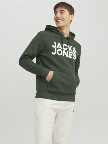 Jack & Jones Kapuzenpullover in Mountain View