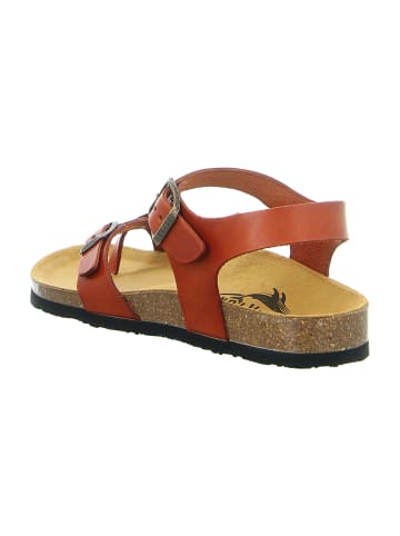Plakton Zehenstegsandalen in Rot