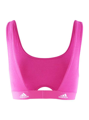 adidas Bustier SCOOP BRALETTE in pink