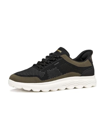 Geox Sportliche Schnürschuhe in Schwarz